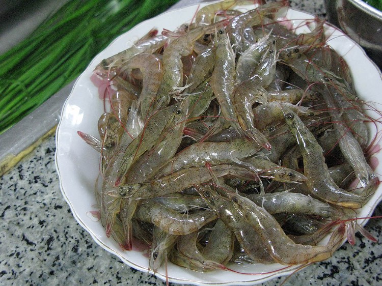 河蝦