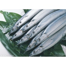 帶魚(yú)